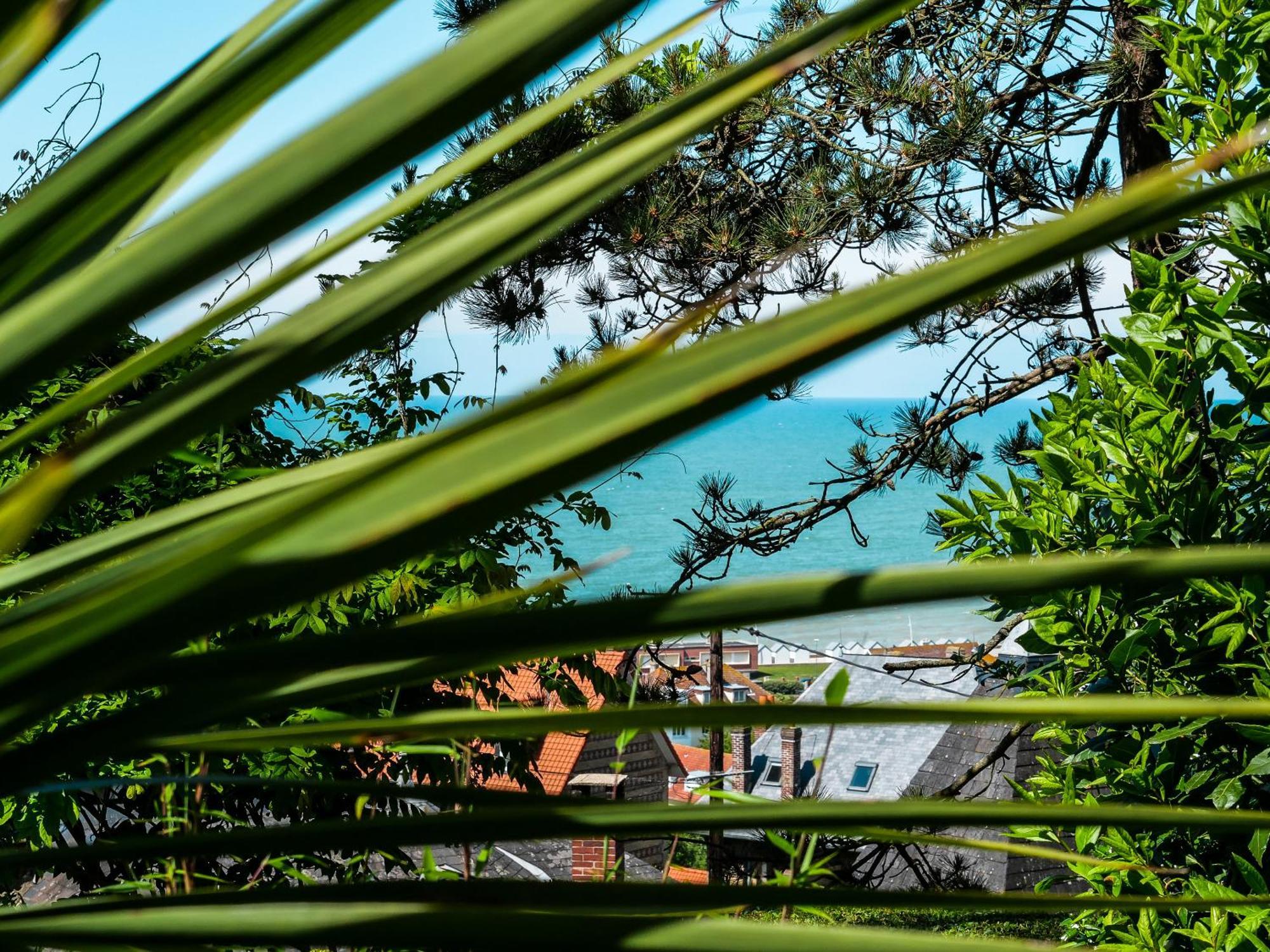 Le Carre Vue Mer Pourville-sur-Mer Dış mekan fotoğraf
