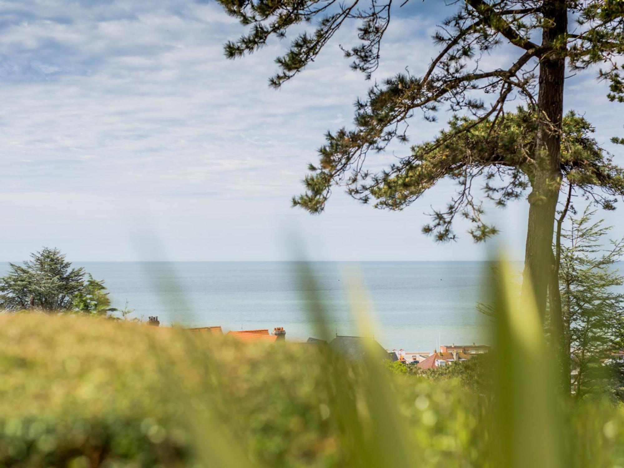 Le Carre Vue Mer Pourville-sur-Mer Dış mekan fotoğraf